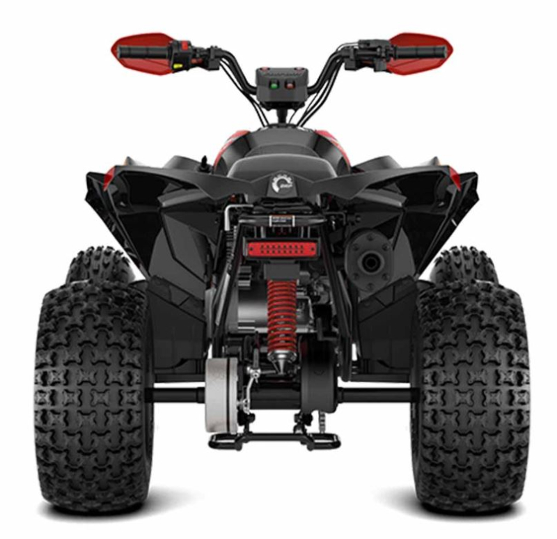 Renegade X Xc 110 Efi Black/red 2024